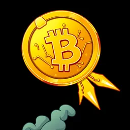 bitcoin bitcoin